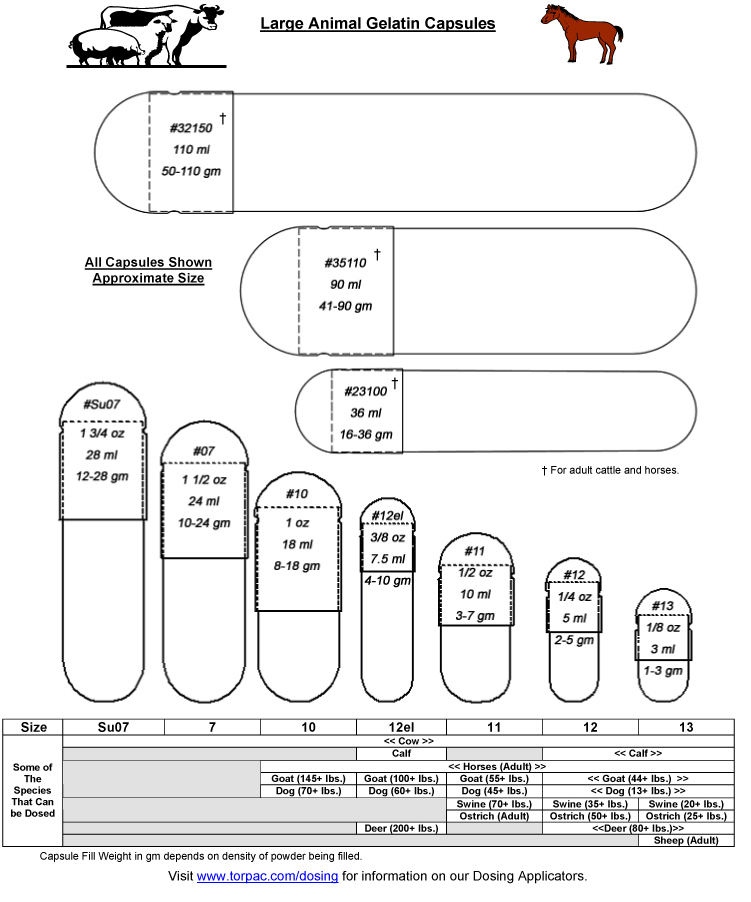 Pill Capsule Size Chart