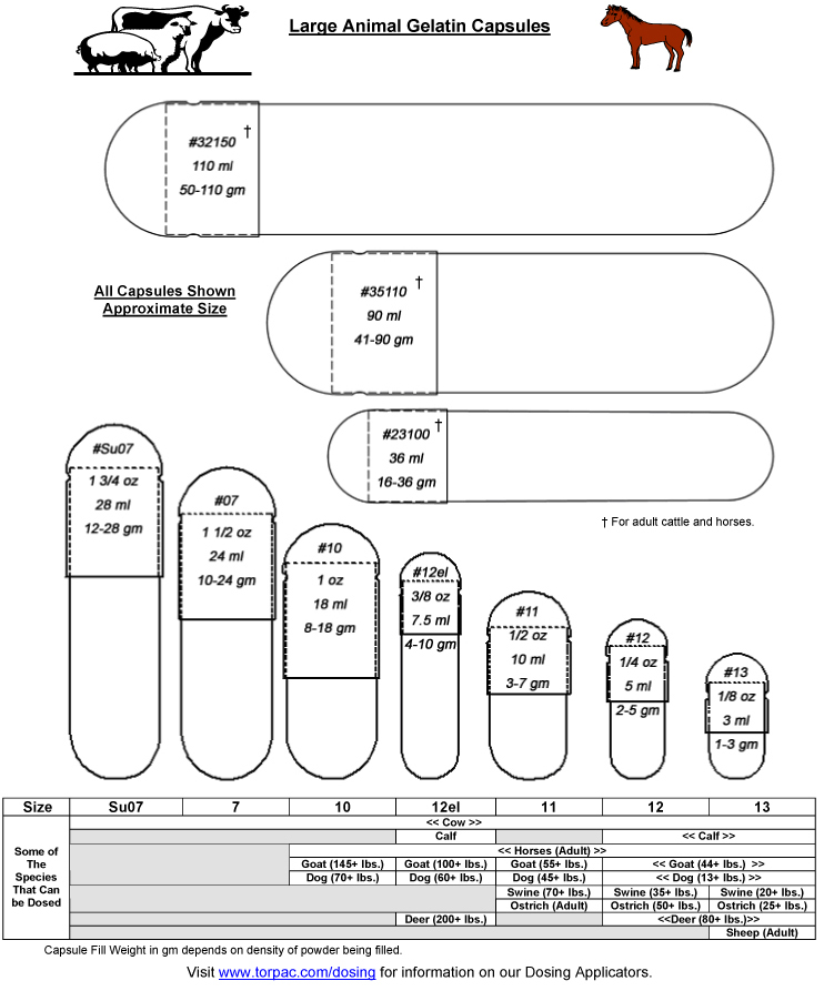 Gel Cap Size Chart