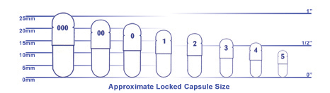 Torpac Capsule Size Chart